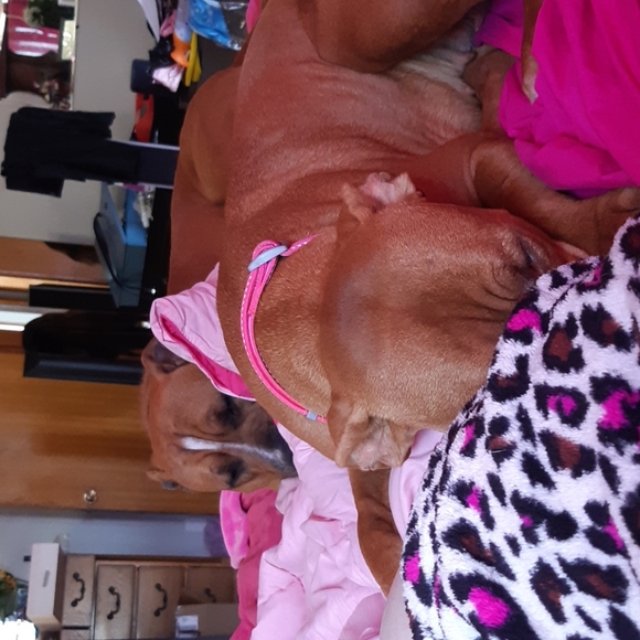 Meet your Posher, Postfontaine - Picture 1 of 2